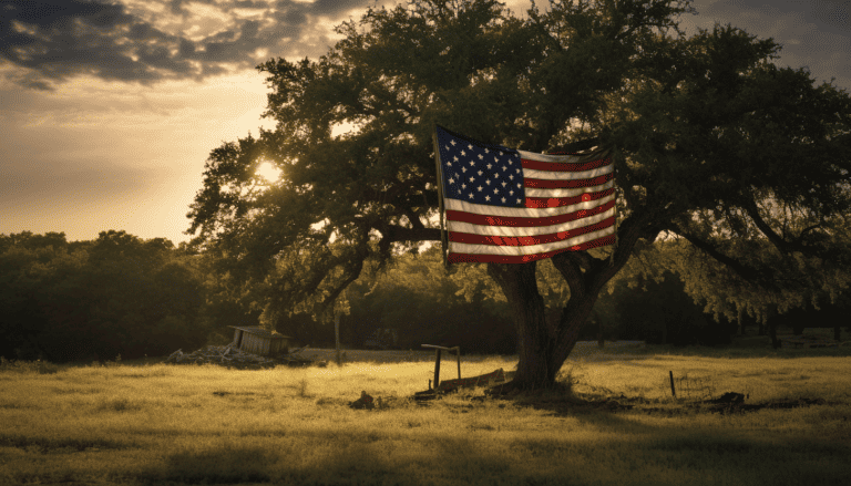 Read more about the article Why Choose Proper American